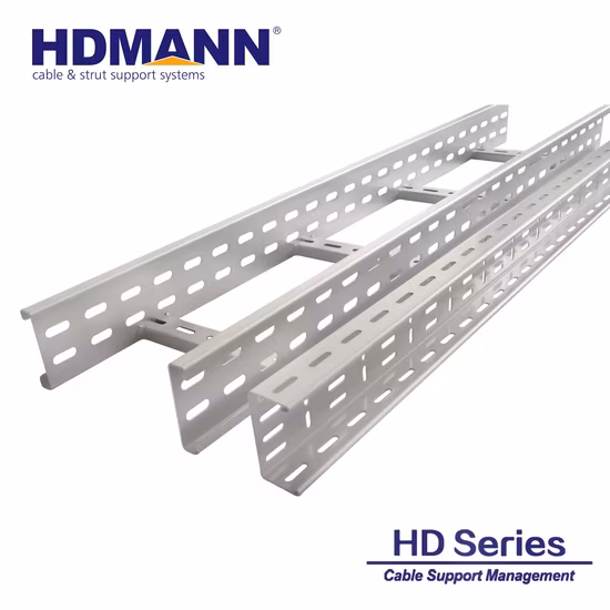 Cabling Management System Solution Pre-Galvanized Steel Ladder Cable Tray Manufacturer