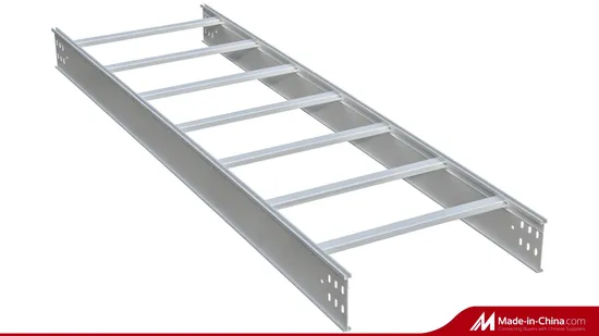 Hot Dipped Galvanized Manufacturer Gi HDG Perforated Trunking Ladder Type Cable Trays